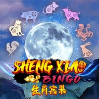 Lottery Games Online JokerGaming - Sheng Xiao Bingo