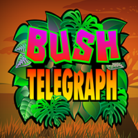 Praja4d: Slot Online Microgaming Bush Telegraph