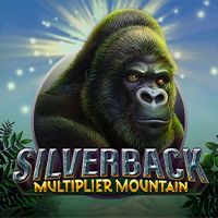 Silverback: Multiplier Mountain