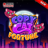 Copy Cat Fortune