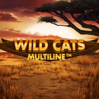 Wild Cats Multiline