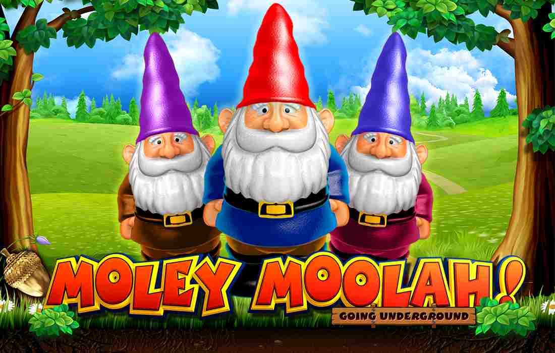 Slots Online Yggdrasil - Moley Moolah