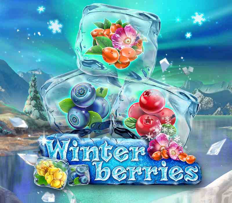 Praja4d: Slot Online YggDrasil Winterberries