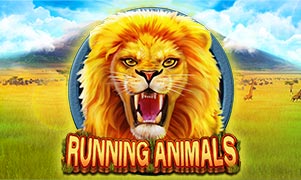 Slots Online CQNine - Running Animals