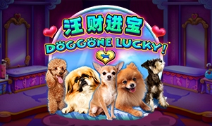 Praja4d: Slot Online CQ9 Doggone Lucky